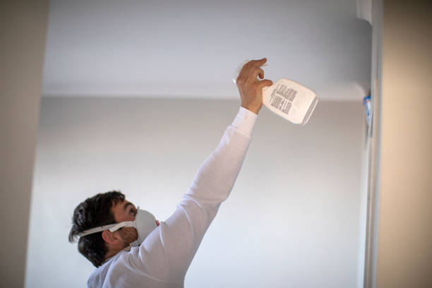 Best Mold Damage Repair  in Hebron, IL