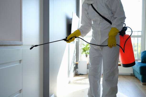 Best Residential Mold Removal  in Hebron, IL